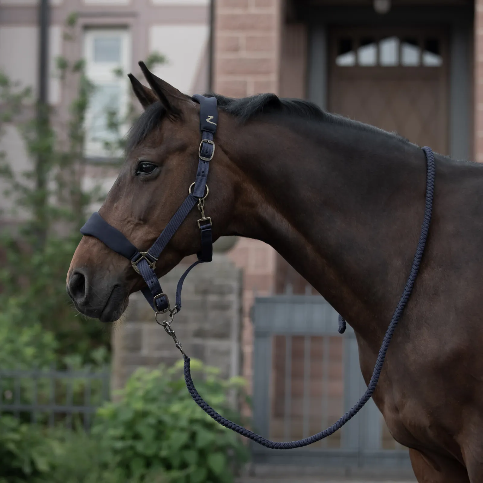 Clearance Graz grime Grimer