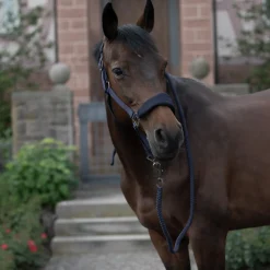 Clearance Graz grime Grimer