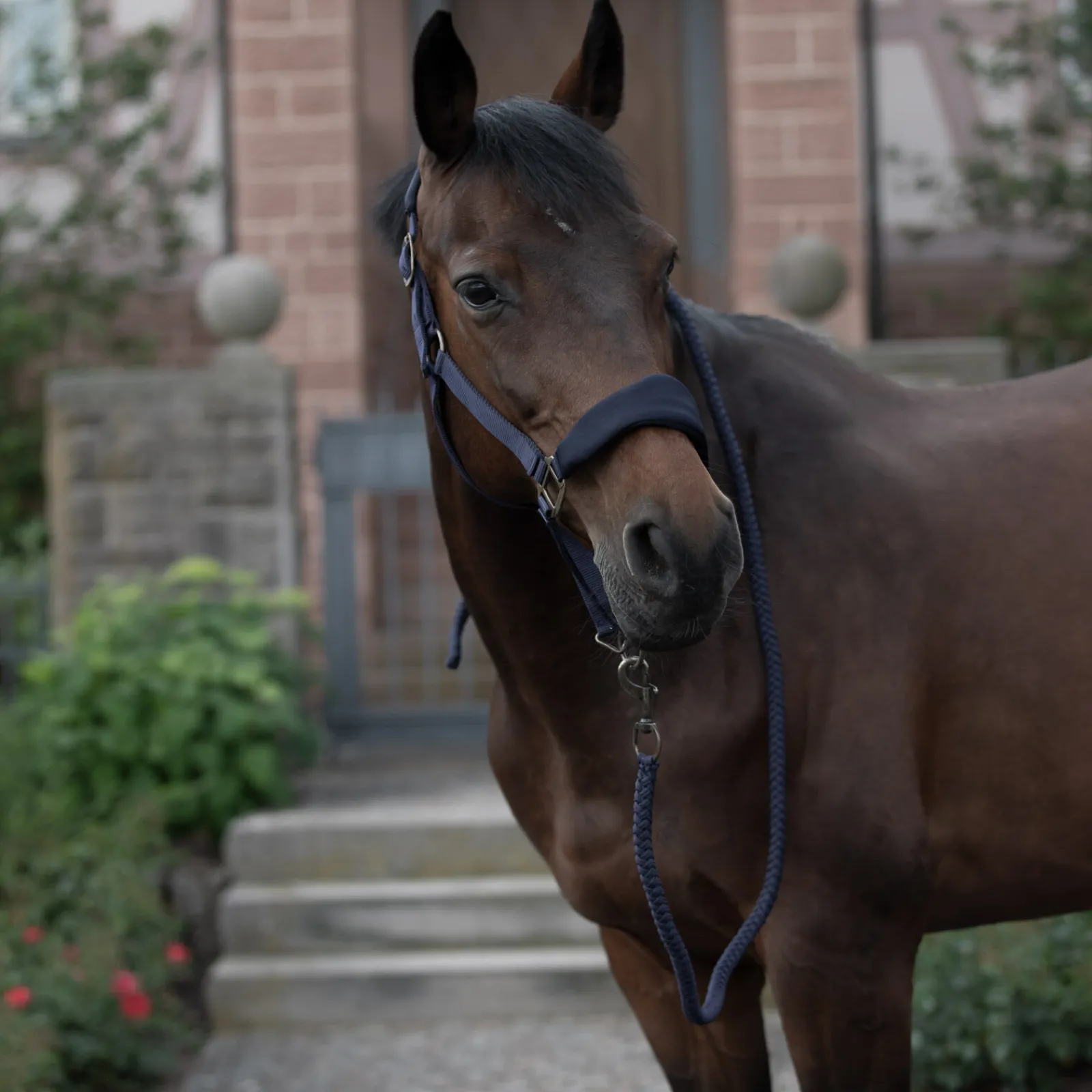 Clearance Graz grime Grimer