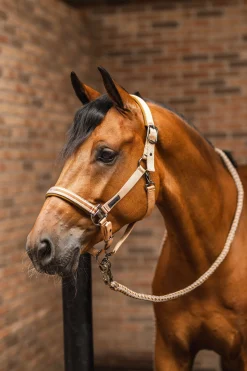 New High Life leietau med panikkrok Leietau