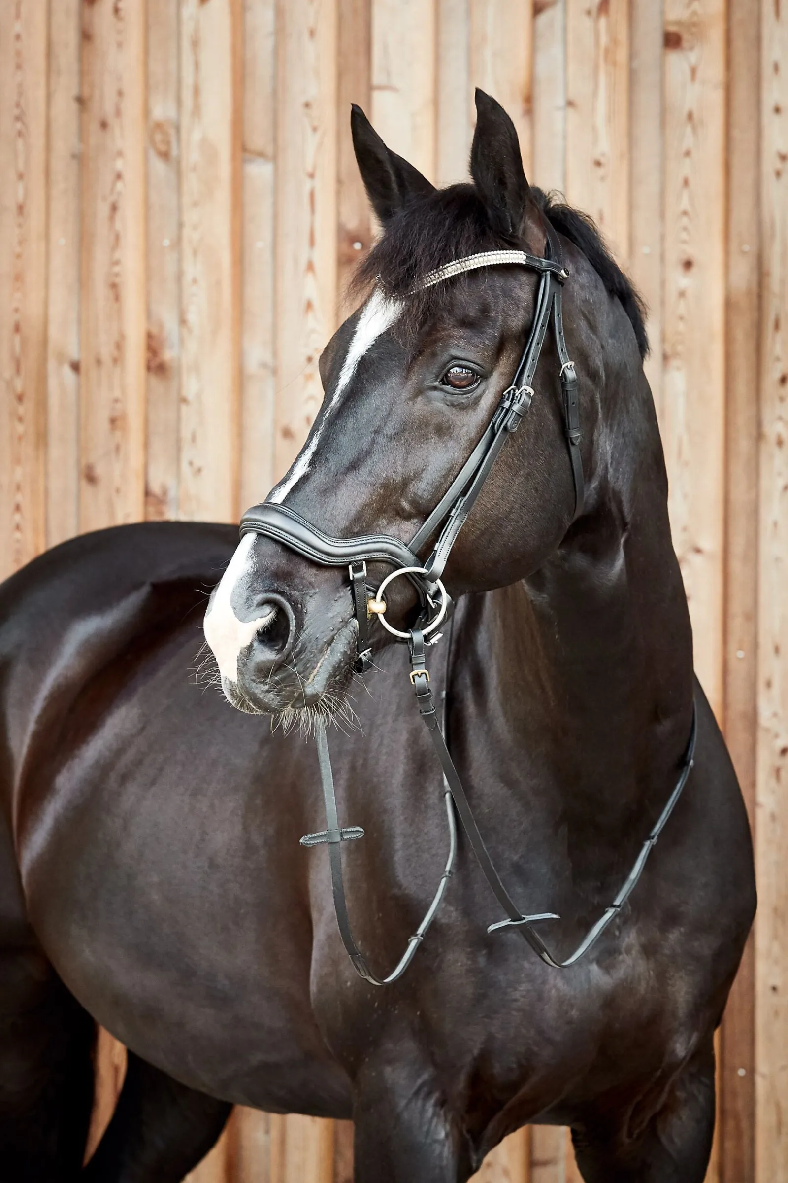 Best Highbury anatomisk hodelag med krystallpannebånd Ponni Hodelag Og Grimer|Hodelag & Nesereimer