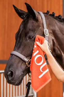 Online hånd-håndkle Hesteleker