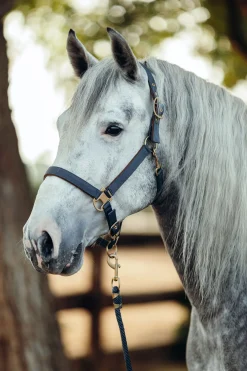 New Houston grime Grimer