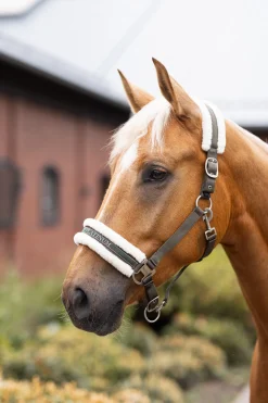 Outlet Howard grime Grimer