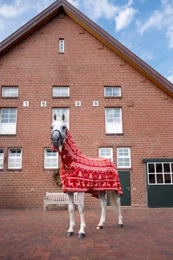Sale julegenser til hester Ulldekken Og Svettedekken