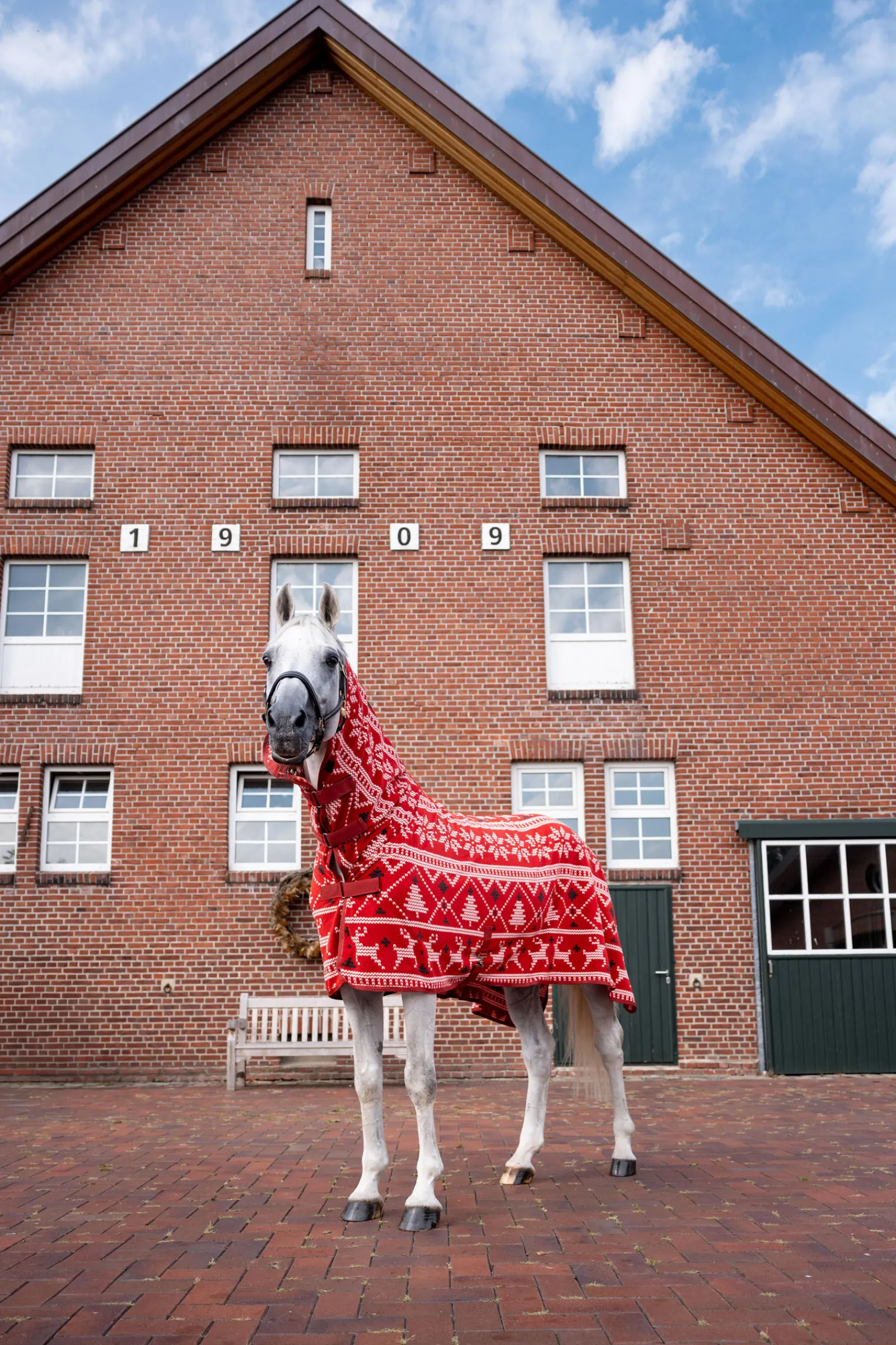 Sale julegenser til hester Ulldekken Og Svettedekken