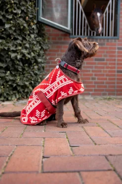 Discount julegenser til hund Hundeklær Og Hundedekken
