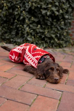 Discount julegenser til hund Hundeklær Og Hundedekken