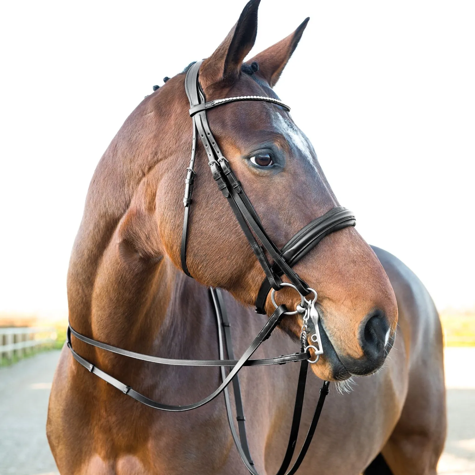 Hot Laelia tøyler med stoppere Tøyler