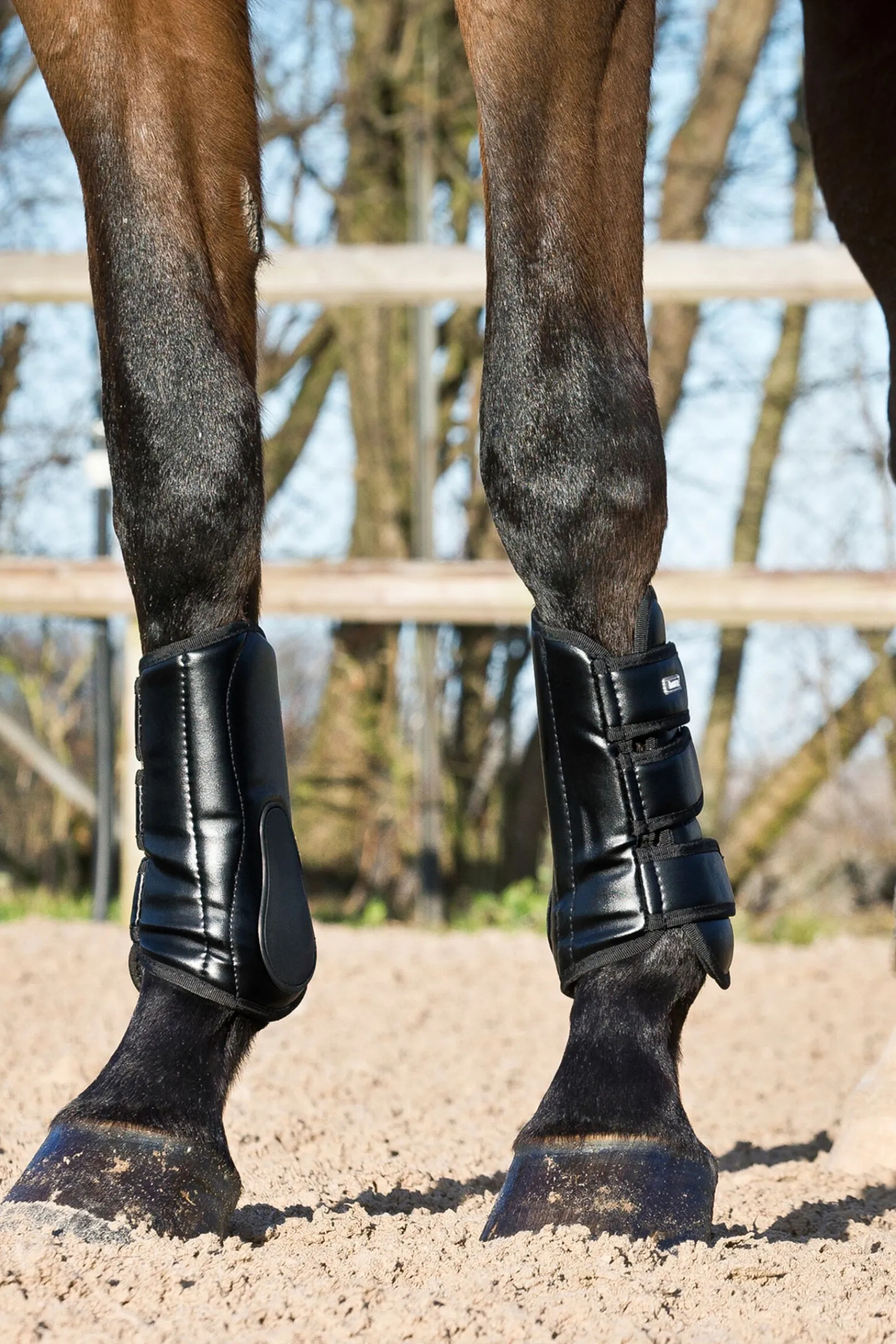 Discount Laval belegg Bakbeinsbelegg Og Stryksokker|Belegg Til Hest