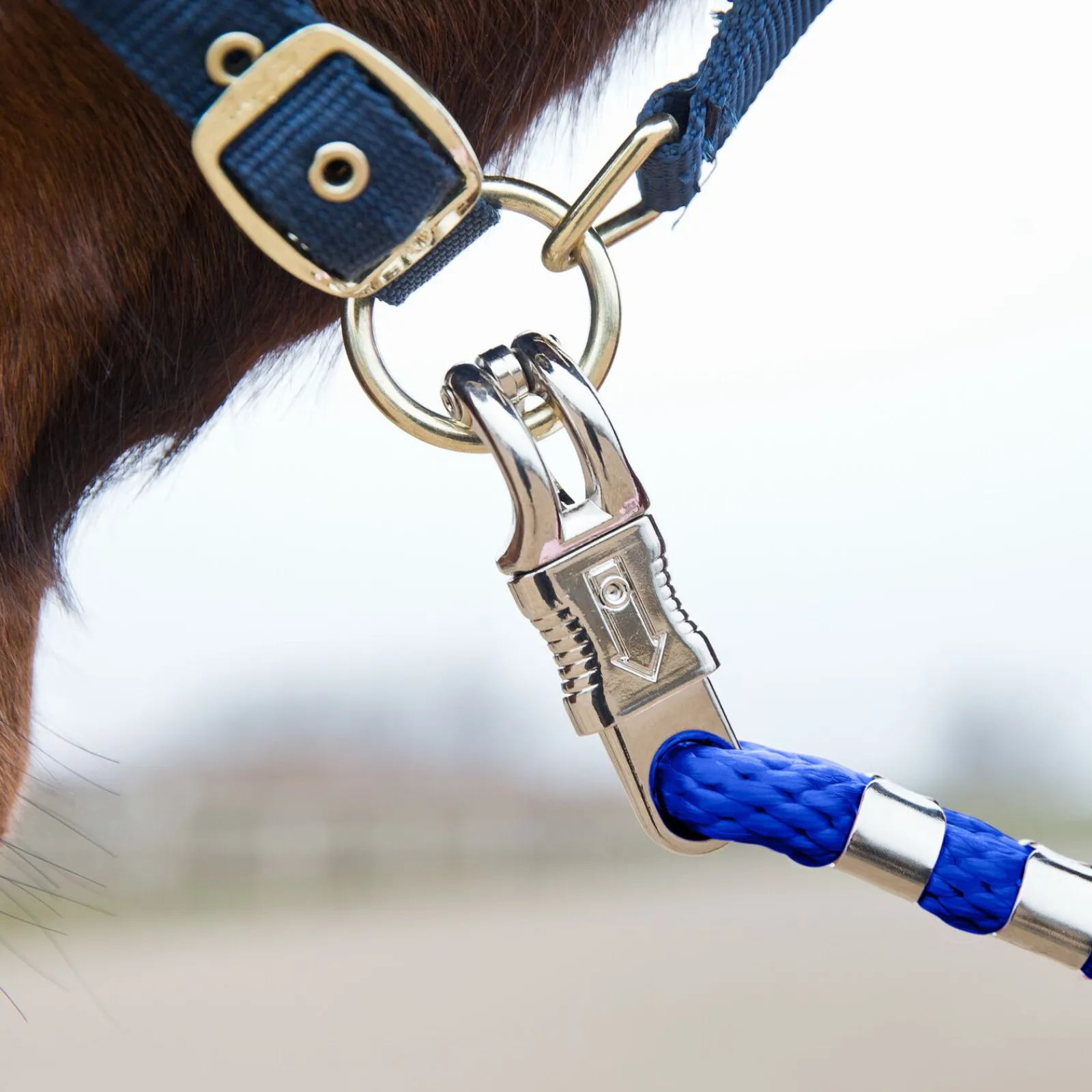 leietau, panikkrok Leietau