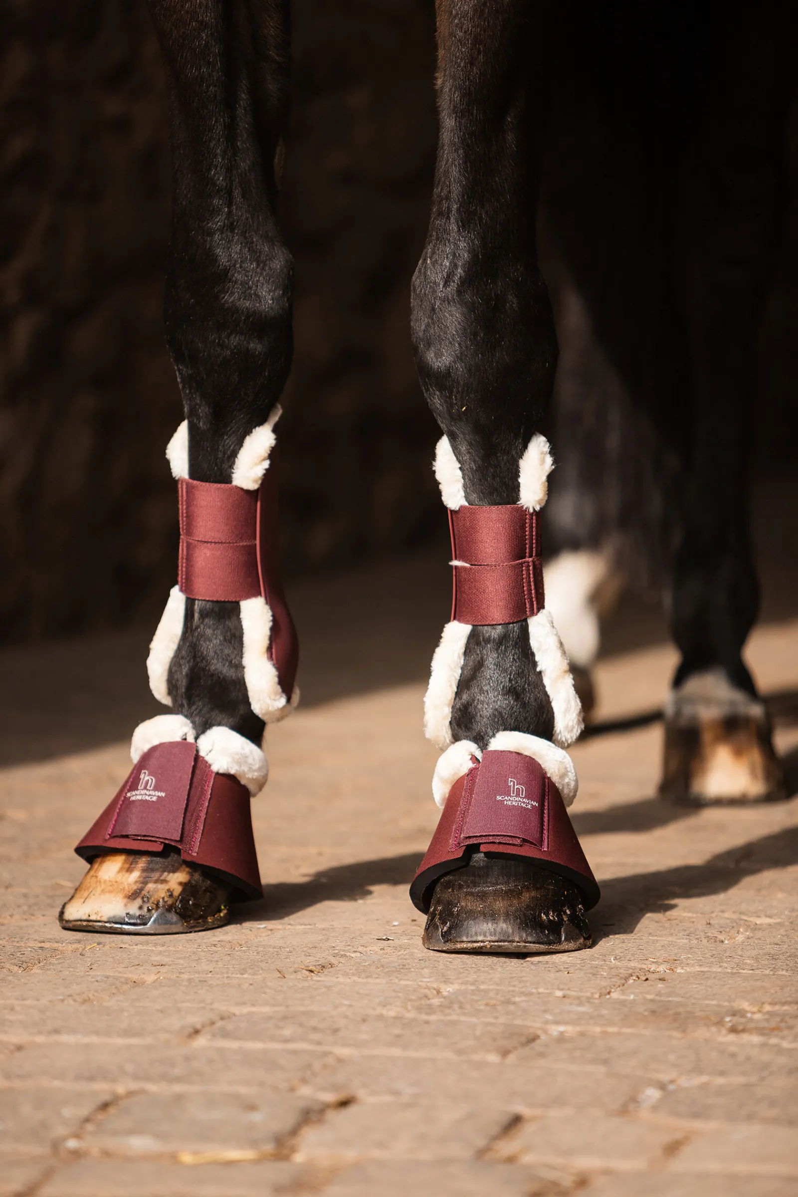 Best Leighton Teens Collection kopper Ponni Belegg|Kopper Til Hest