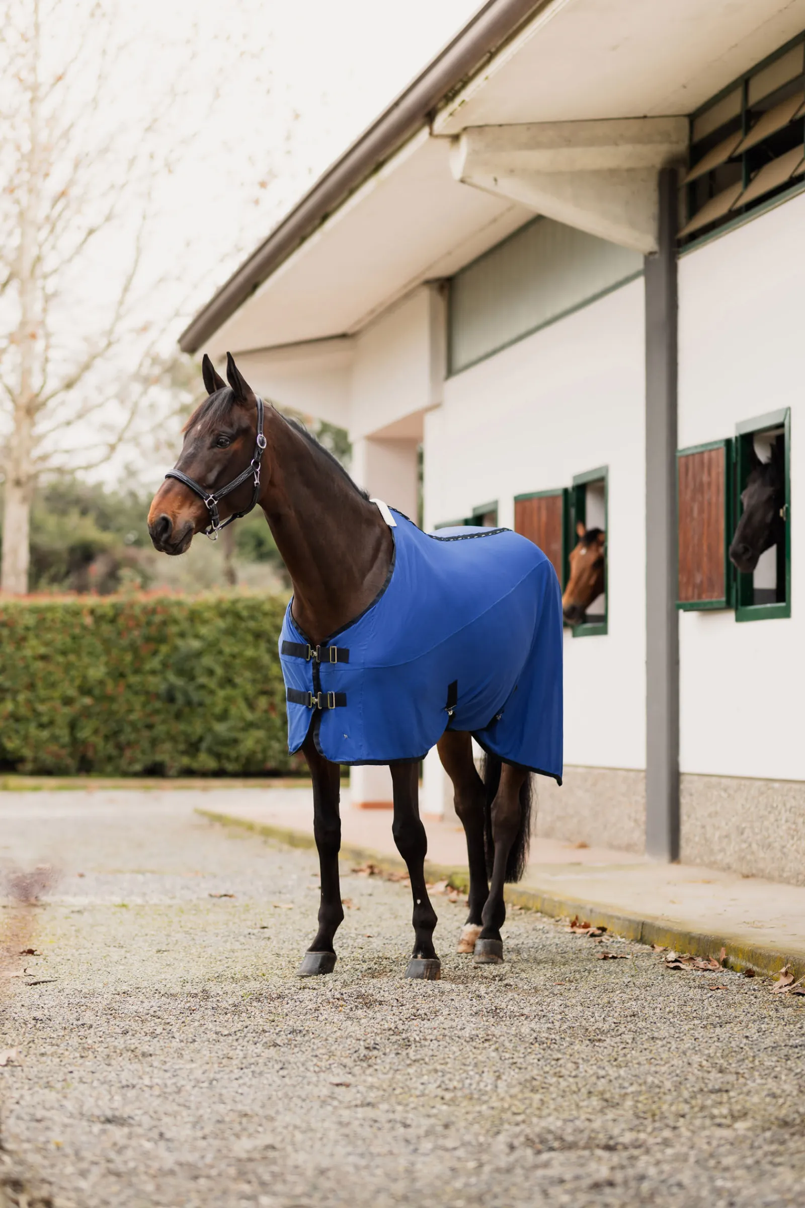 Outlet LIMITED EDITION Cooling dekken Ulldekken Og Svettedekken