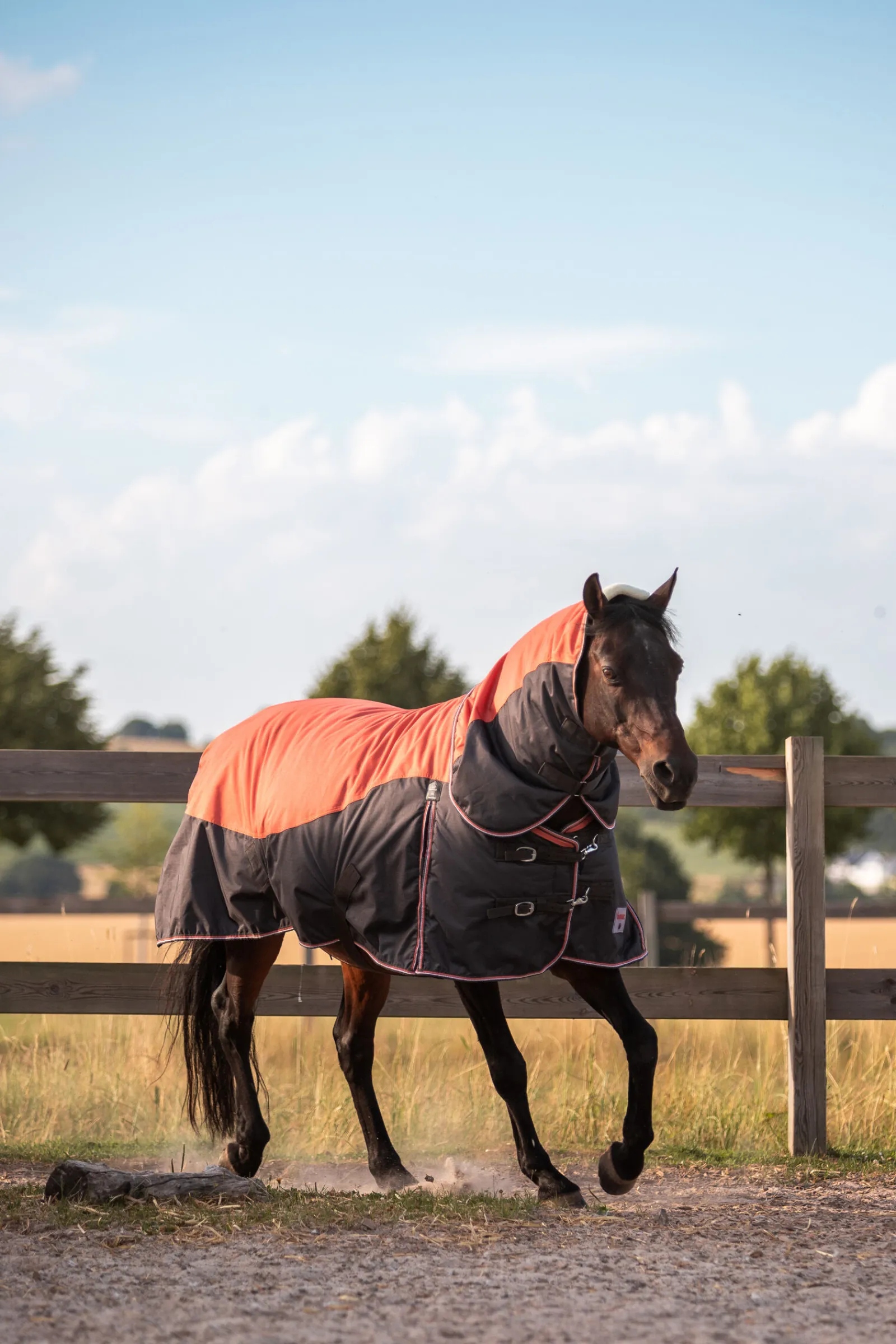 Sale Lucerne hals, 250 gram Hals Til Dekken