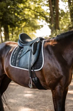 New Luminox reflekterende sjabrak Ponni Sjabrak|Allround- Og Sprangsjabraker