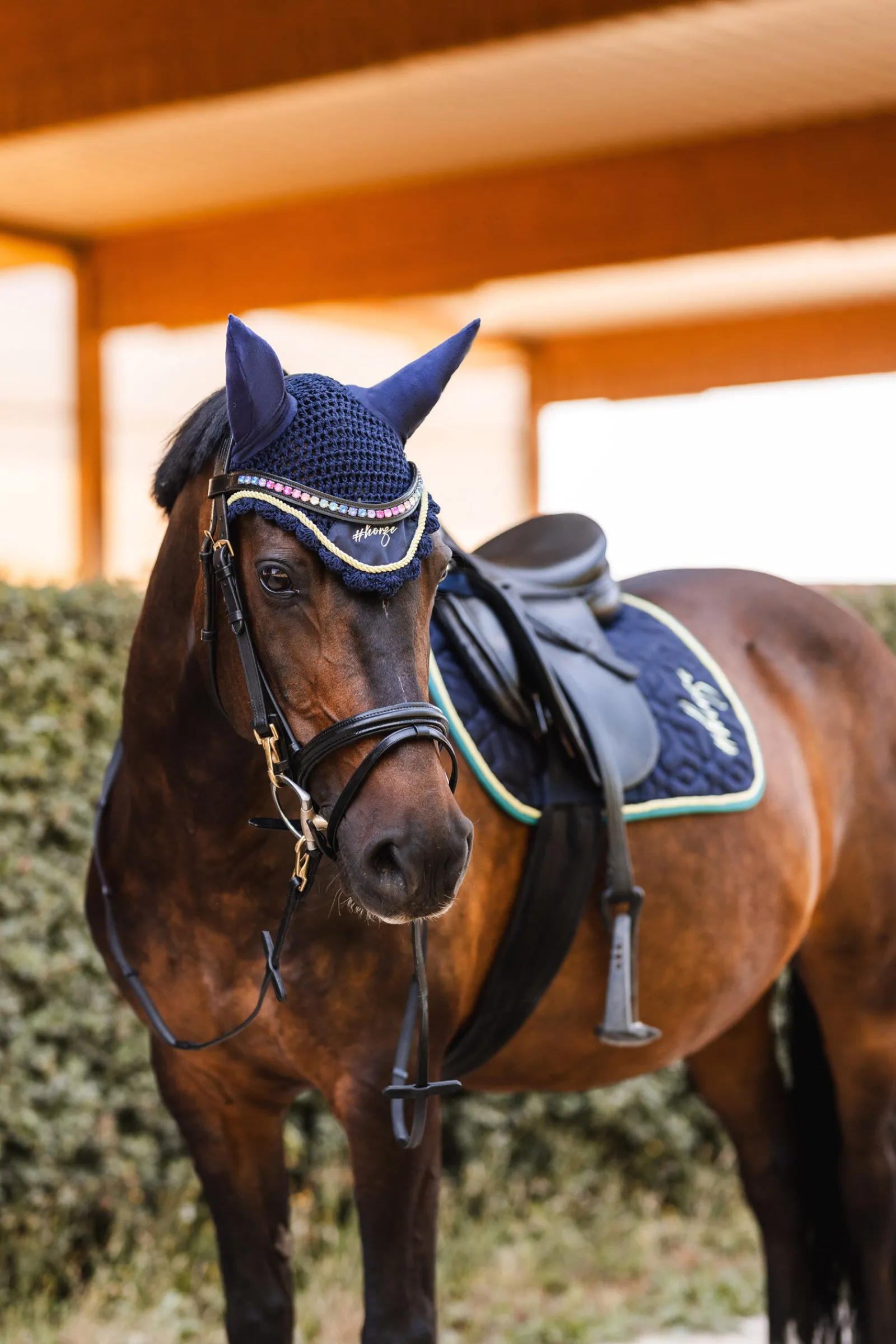 New Magic Carousel Part 2 ørehette Ørehetter|Ørehetter