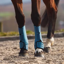 Best Marquees stryksokker i neopren Belegg Til Hest