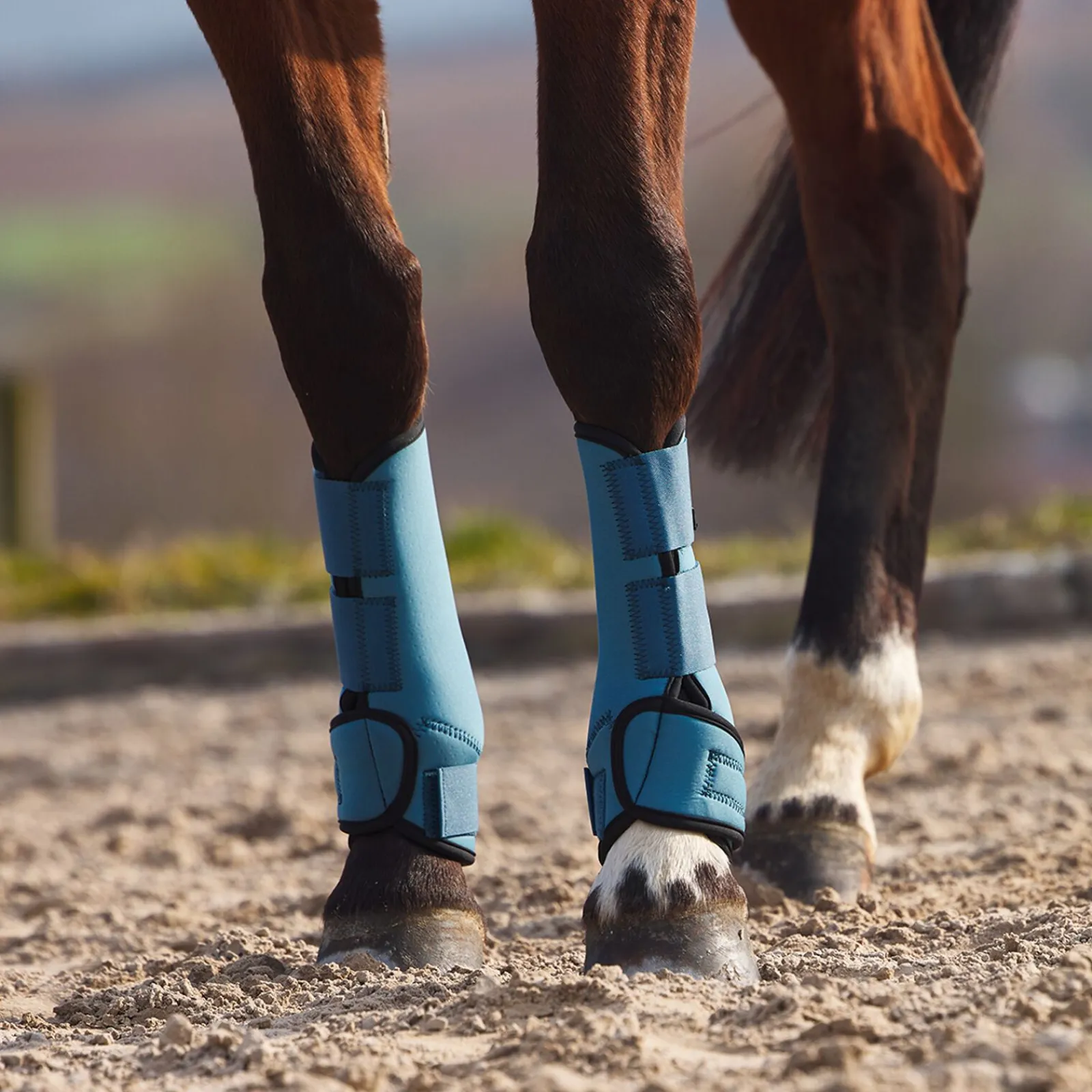 Best Marquees stryksokker i neopren Belegg Til Hest