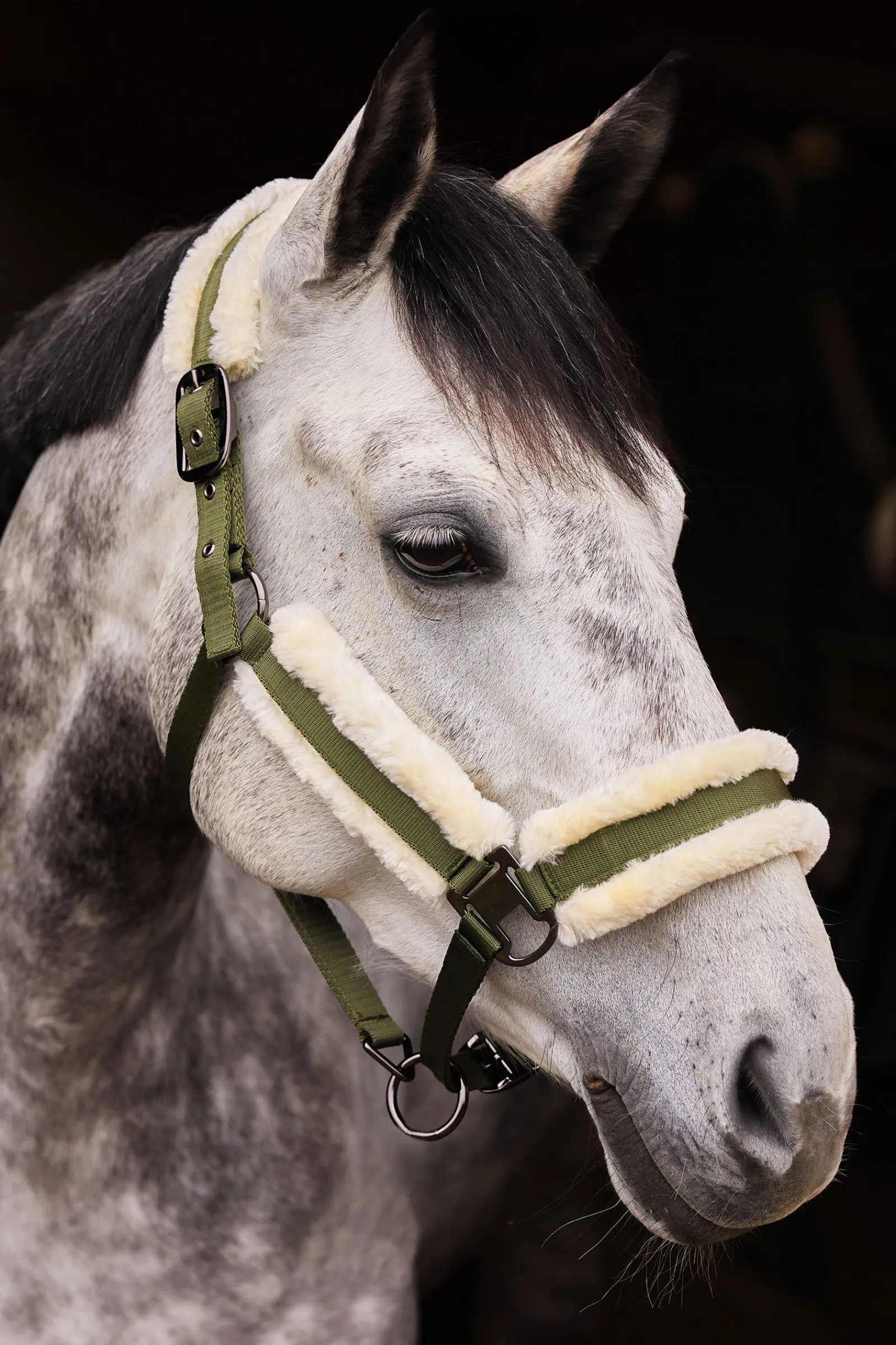 Clearance Marquess grime med fuskepels Grimer