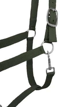 Best Moreton grime, leietau og fluefrynser, sett Grimer