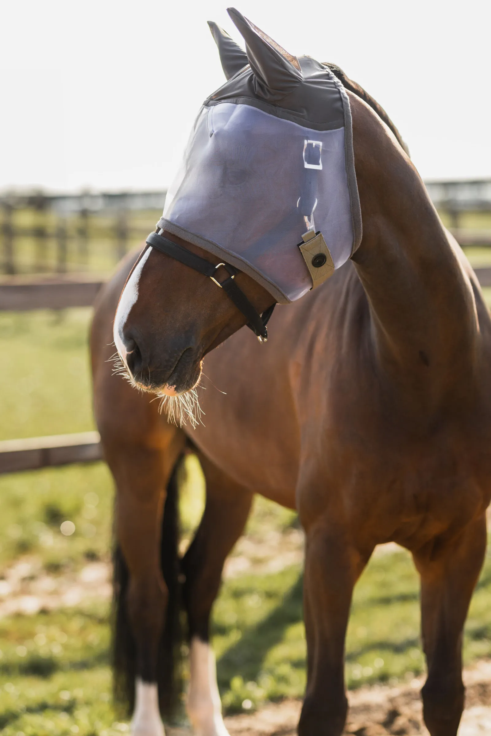 Hot Mountain Essence fluemaske Fluemasker & Fluepannebånd|Fluemasker & Fluepannebånd