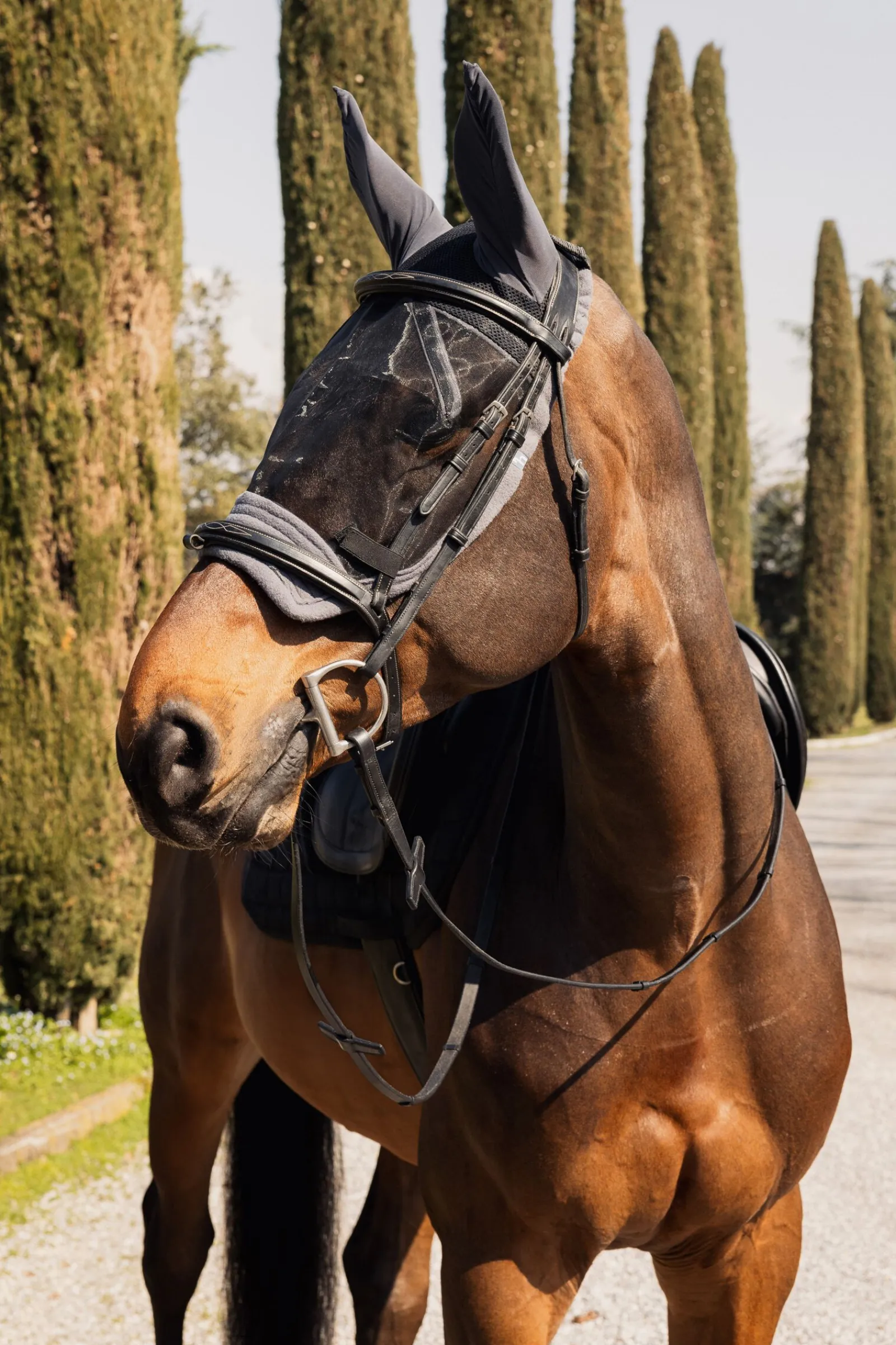 Sale Mountain fluemaske til ridning Fluemasker & Fluepannebånd|Fluemasker & Fluepannebånd