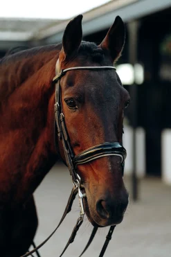 New Munich pannebånd med krystaller Pannereim