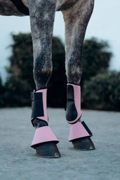 Best Munich stryksokker Belegg Til Hest