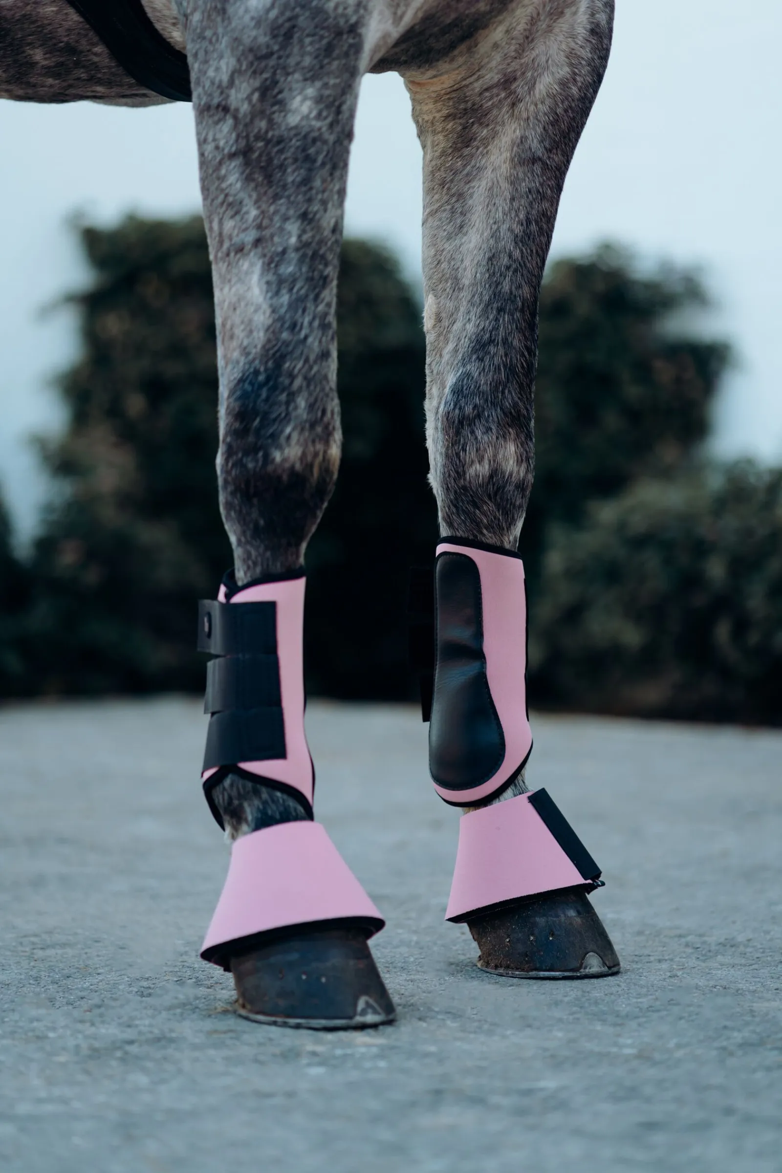 Best Munich stryksokker Belegg Til Hest