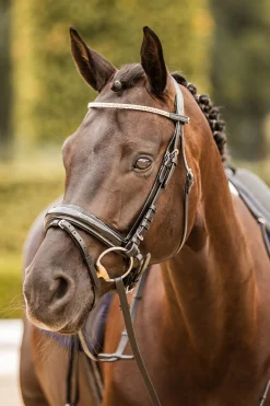 Sale Nancy Crystal and Wire pannebånd Pannereim