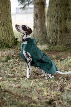 Clearance Noir hundedekken med trykk Hundeklær Og Hundedekken