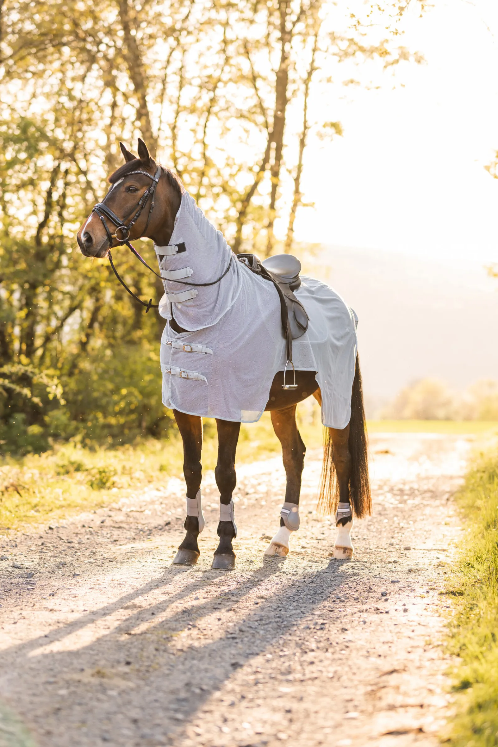 Online Orleans flue-lendedekken Insektsdekken|Insektsdekken