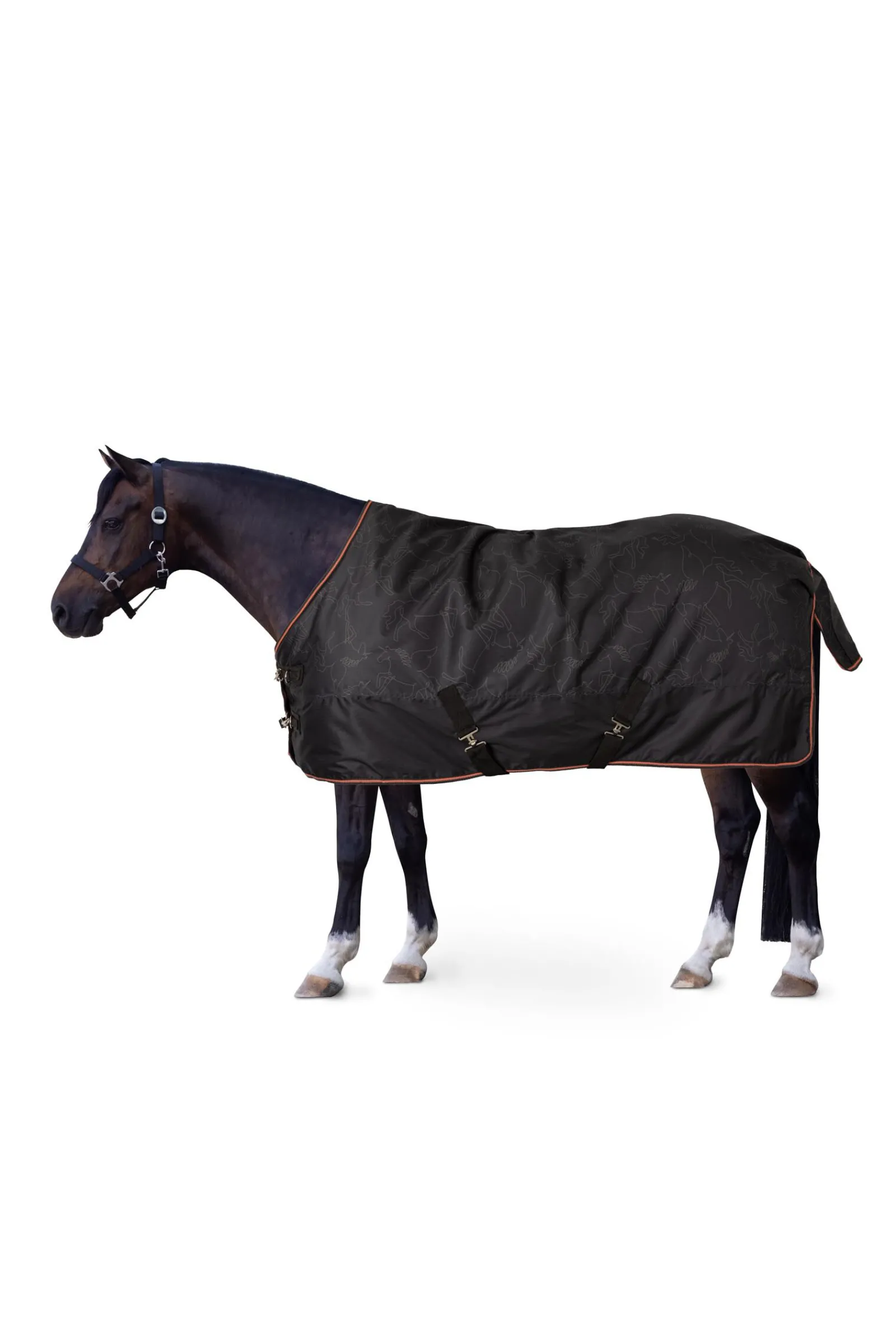 Online Pegasus ponnidekken 200 g/m² Ponnidekken|Ponnidekken