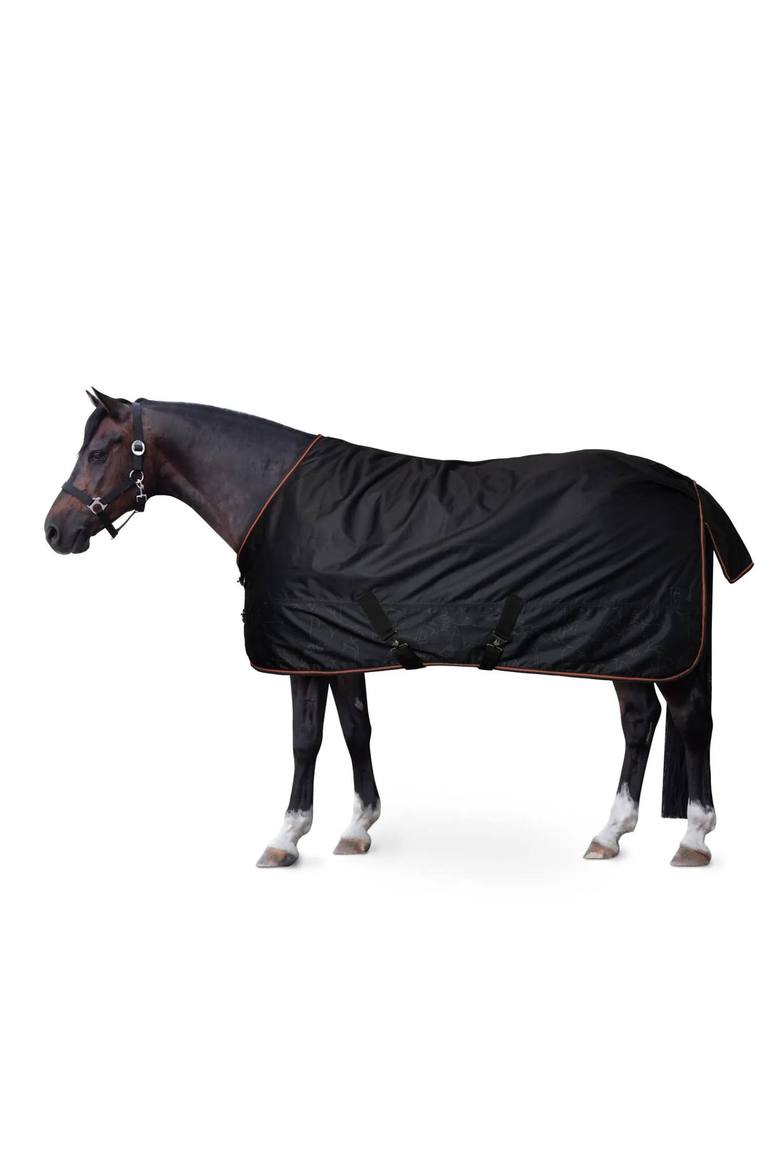 Best Pegasus ponnidekken med fleecefôr Ponnidekken|Ponnidekken