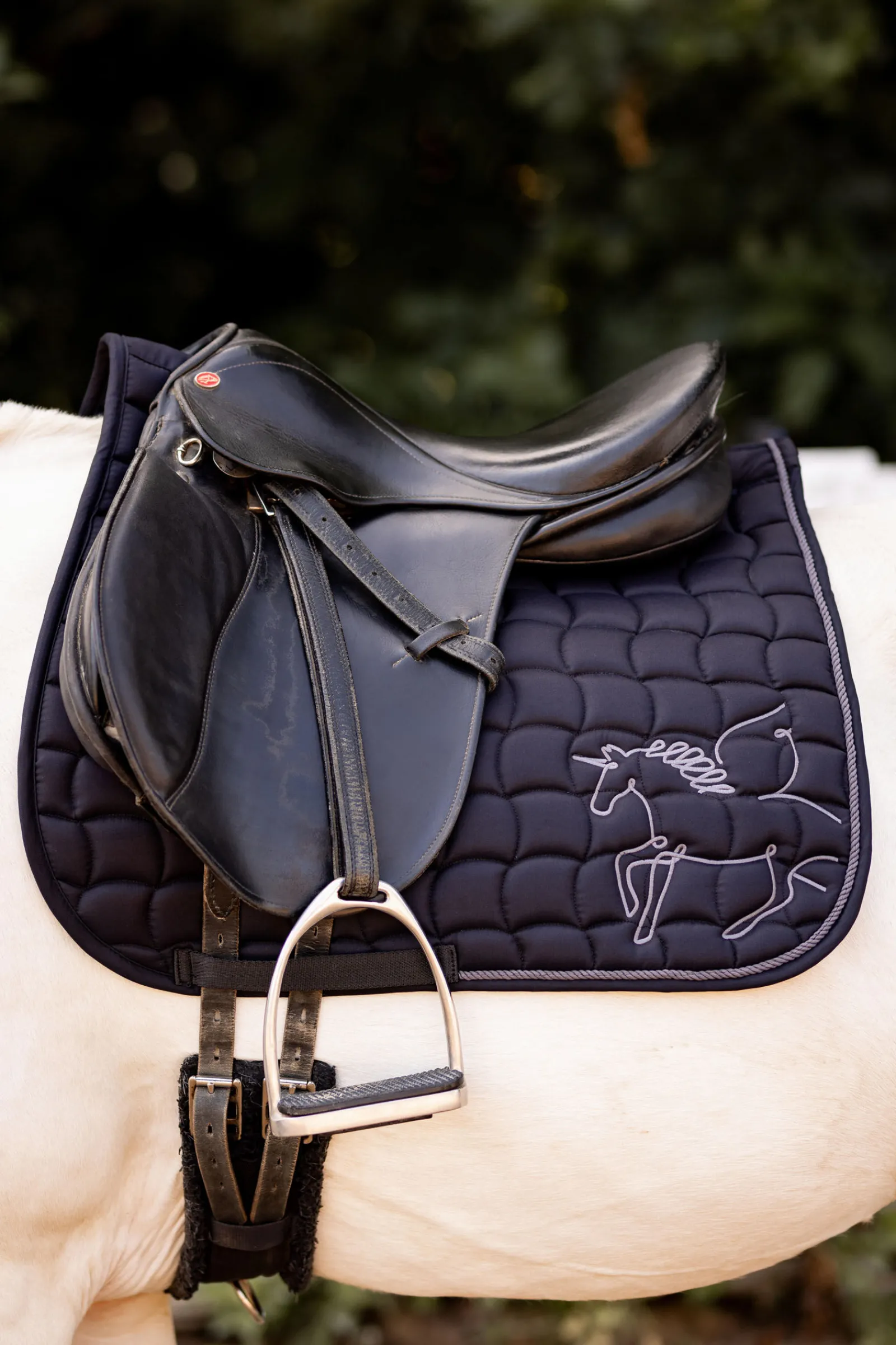 Sale Pegasus Salunderlag til ponni Ponni Sjabrak|Allround- Og Sprangsjabraker