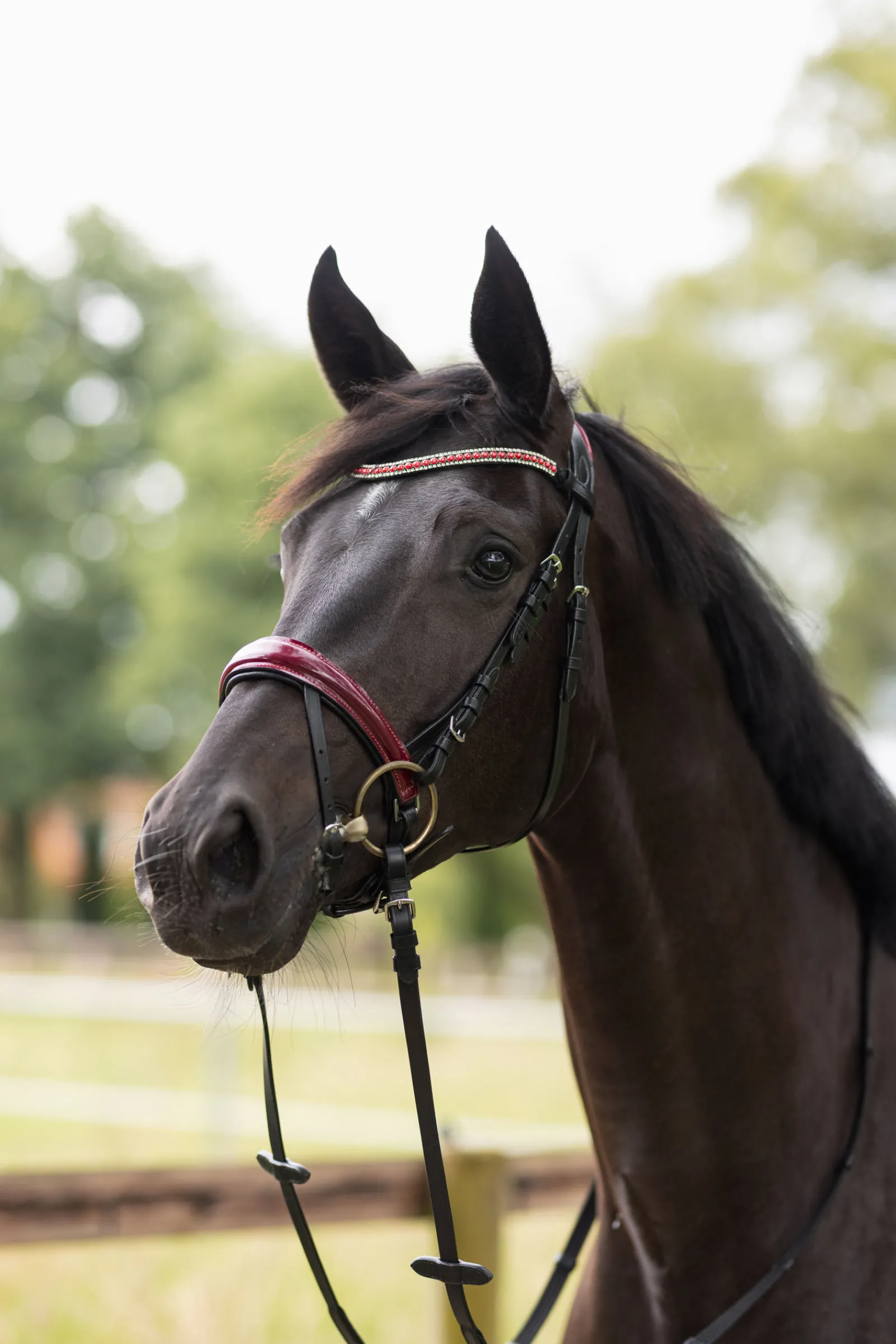 Online Physical Sophistication hodelag Ponni Hodelag Og Grimer|Hodelag & Nesereimer