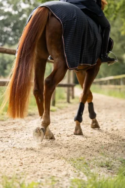 Discount Physical Sophistication ridedekken Ridedekken Og Walkerdekken