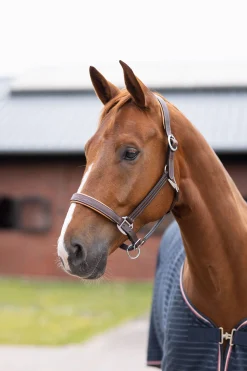 Sale Physical Sophistication lærgrime Grimer