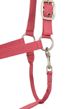 Best Rose Tonique grime Grimer