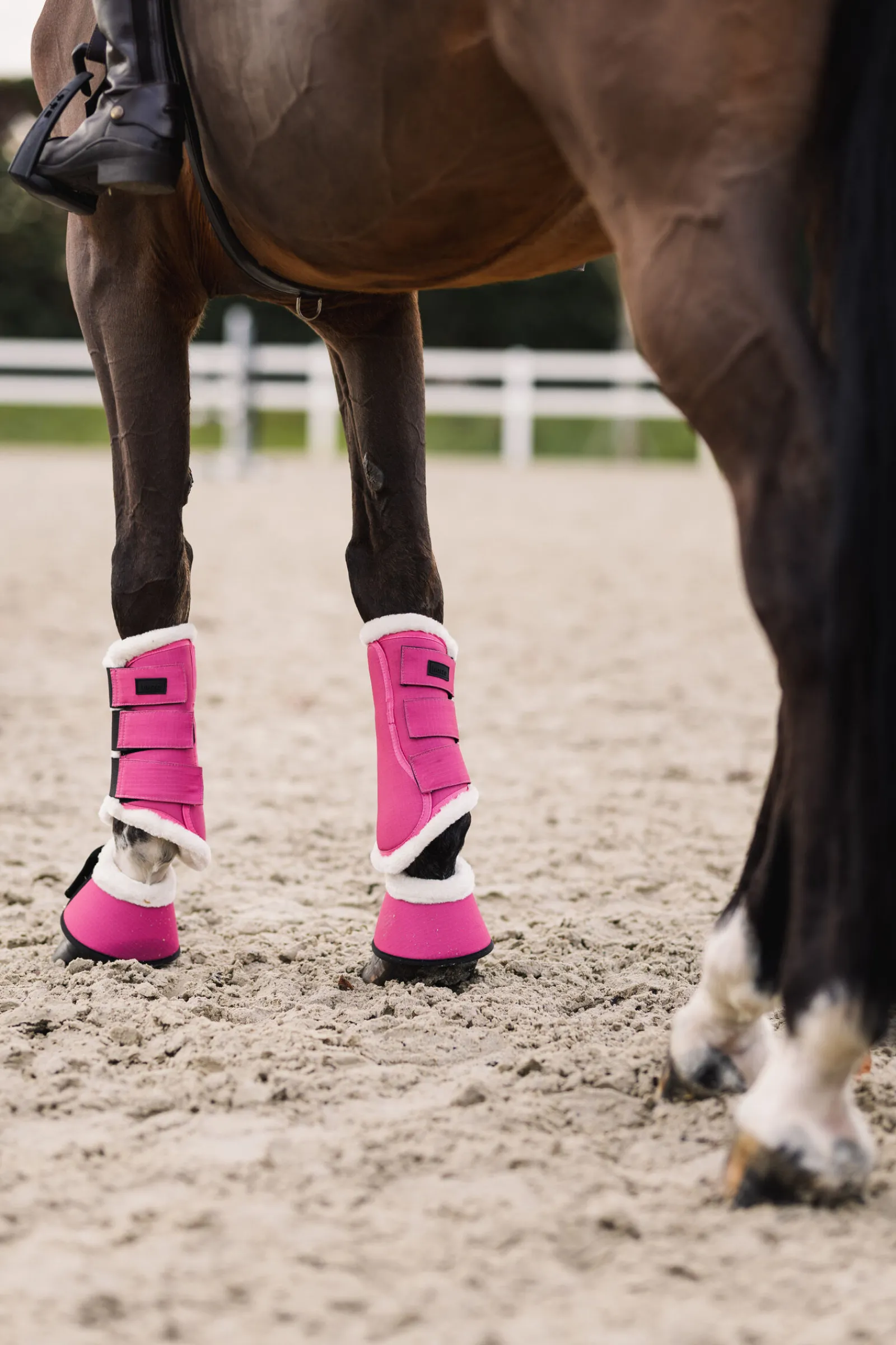 Rose Tonique stryksokker Belegg Til Hest