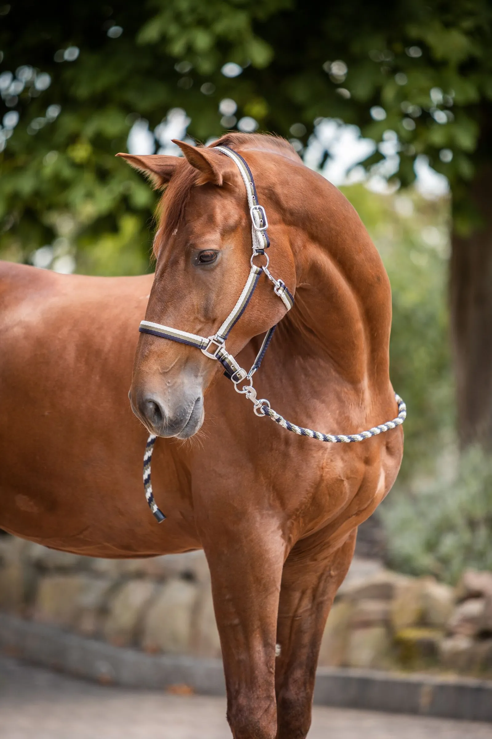 Hot Sandnes grime og leietau, sett Grimer