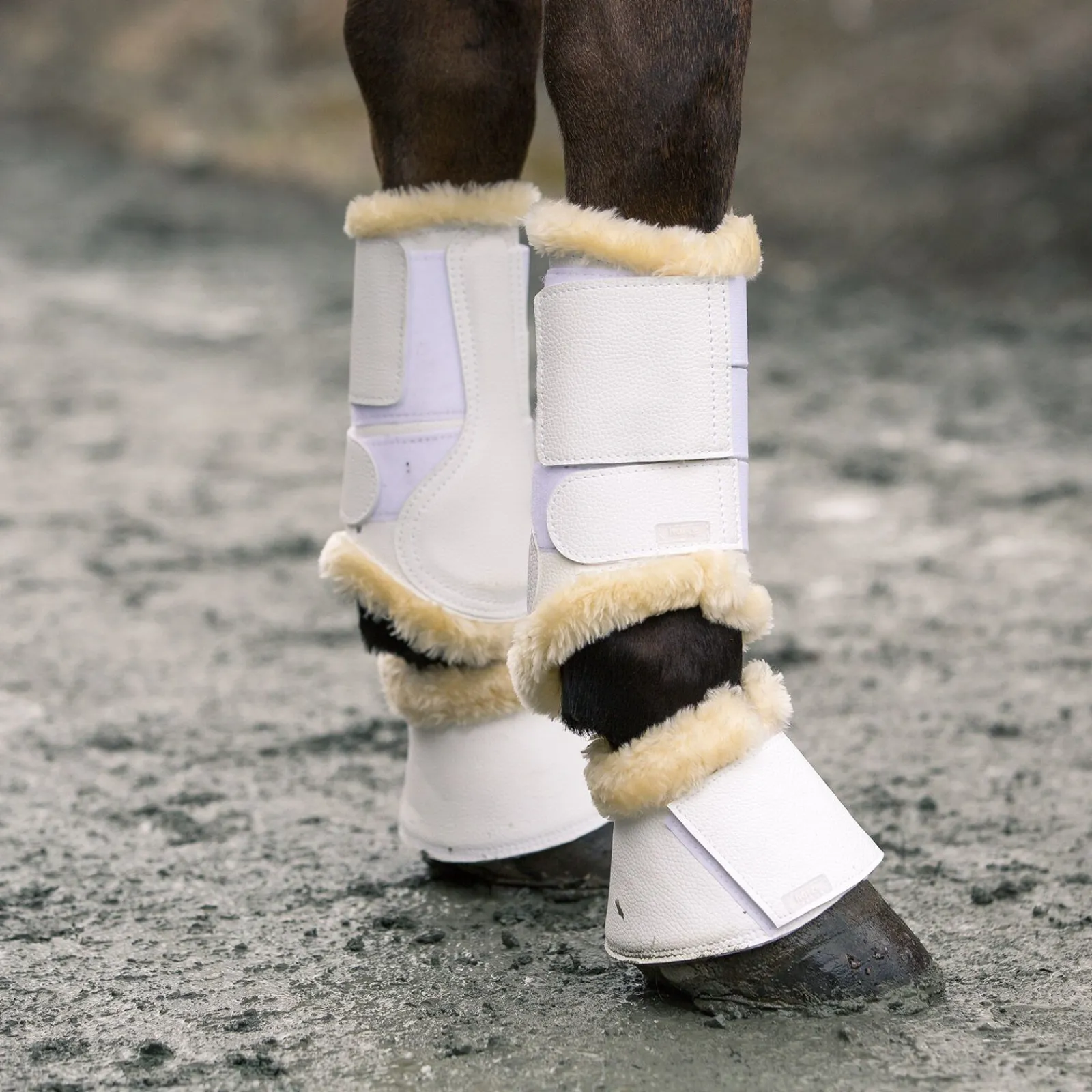 Hot Signature kopper Ponni Belegg|Kopper Til Hest