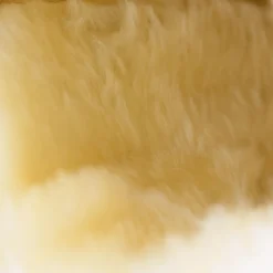 Sale Signature stryksokker Belegg Til Hest