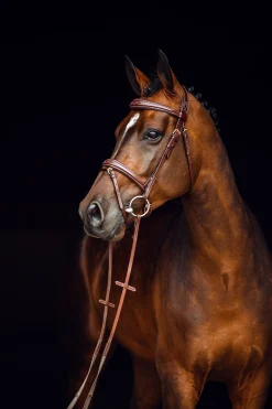 Outlet Sion hodelag med tøyler Ponni Hodelag Og Grimer|Hodelag & Nesereimer