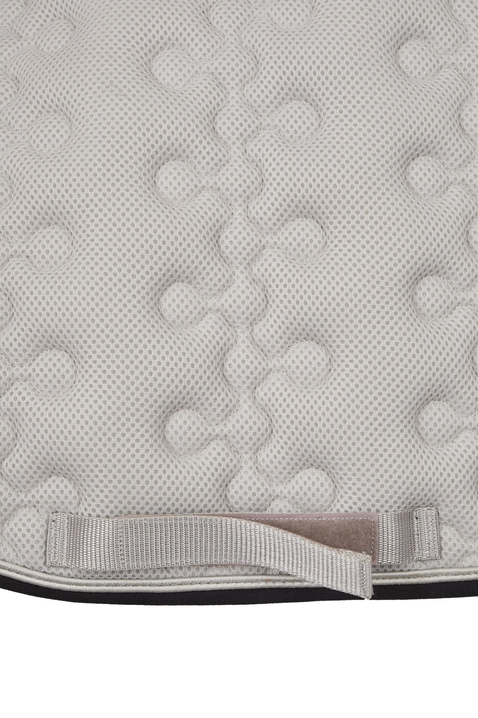 Smoky Twilight sprangsjabrak Ponni Sjabrak|Allround- Og Sprangsjabraker