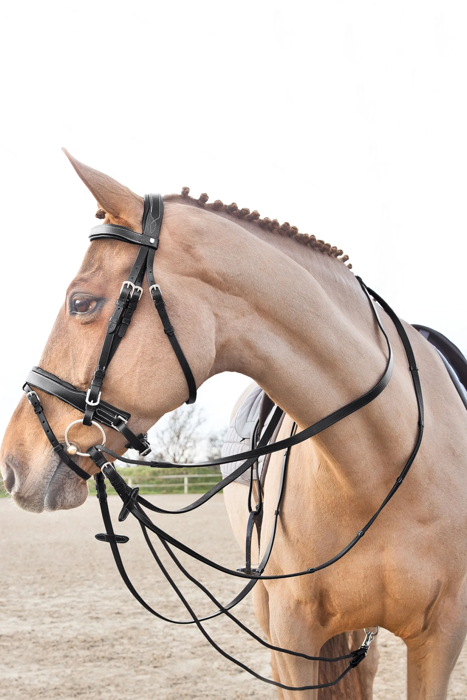 Outlet Sparta glidetøyler i nylon/lær Hjelpetøyler Og Longeringssystemer|Hjelpetøyler Og Longeringssystemer