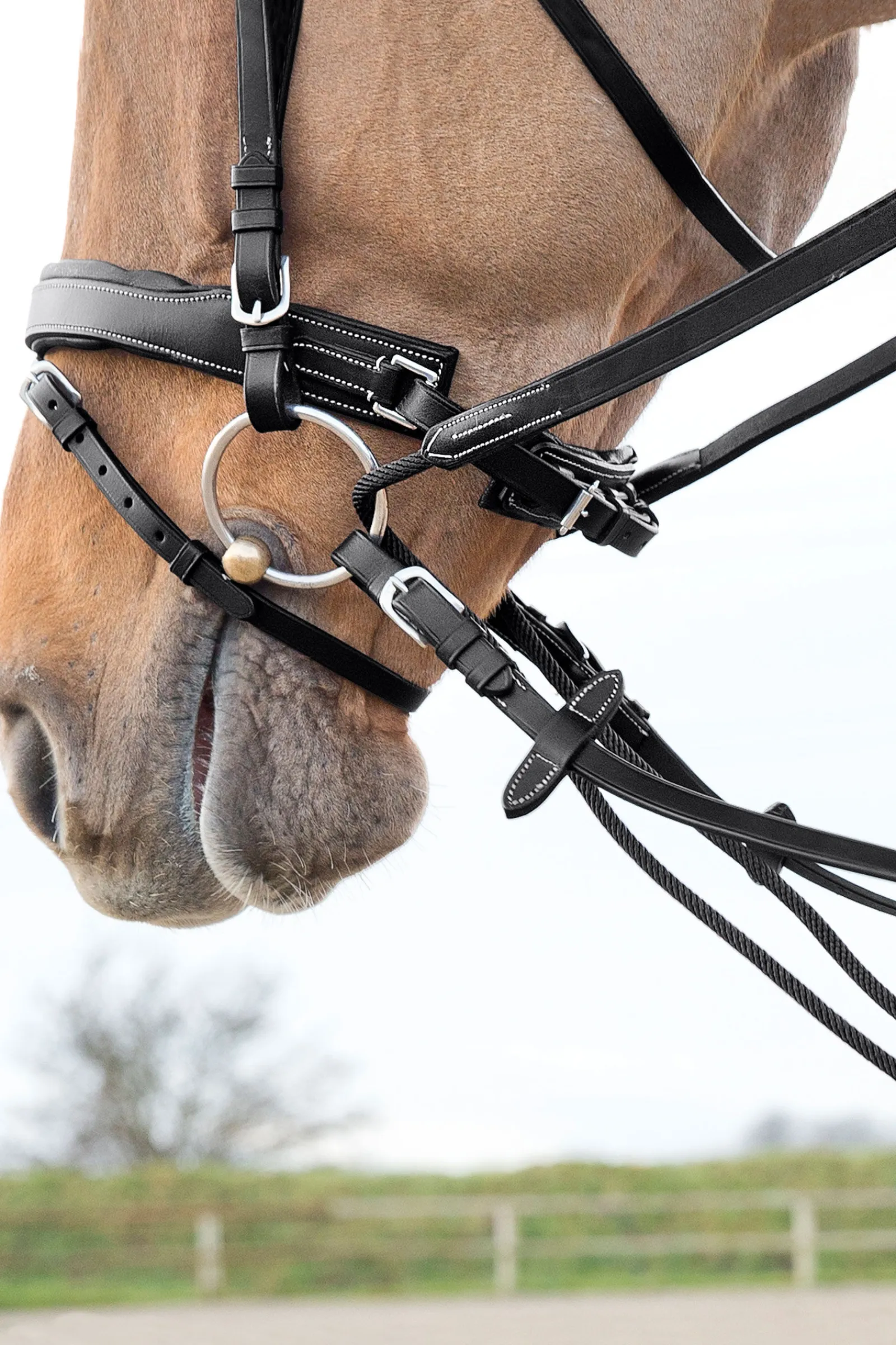 Outlet Sparta glidetøyler i nylon/lær Hjelpetøyler Og Longeringssystemer|Hjelpetøyler Og Longeringssystemer