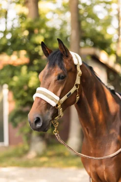 St. Moritz leietau med panikkrok Leietau