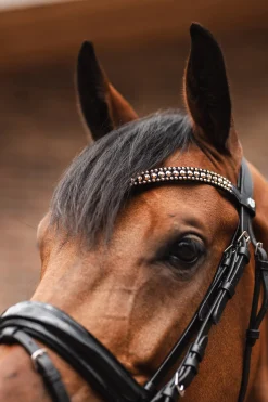 Discount St. Moritz pannereim Pannereim