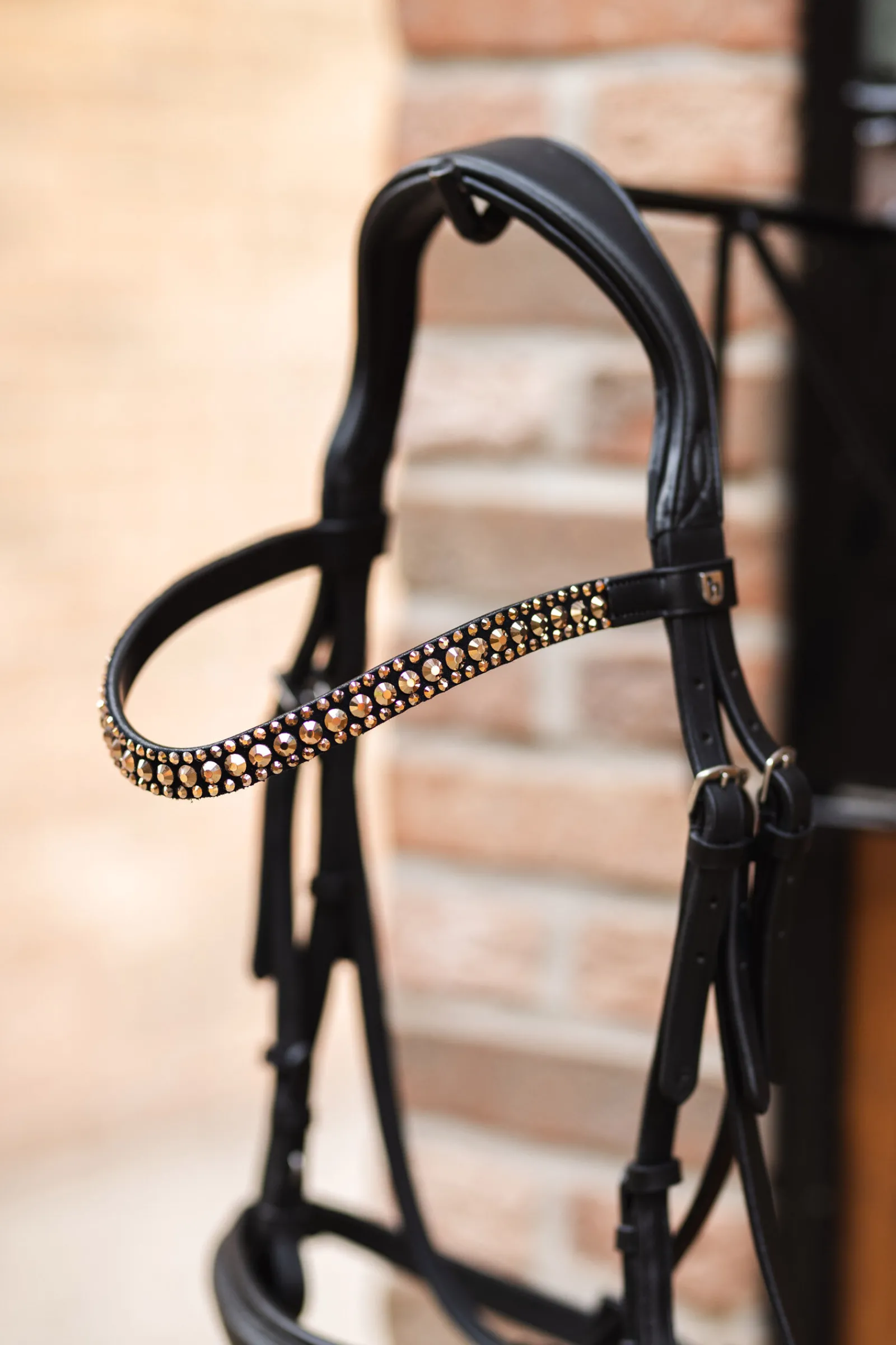 Discount St. Moritz pannereim Pannereim